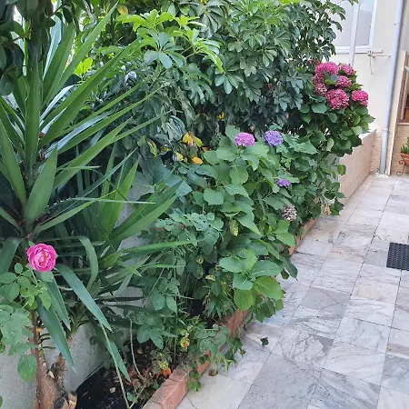 Confortavel Apartamento Em Appartement